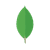 MongoDB